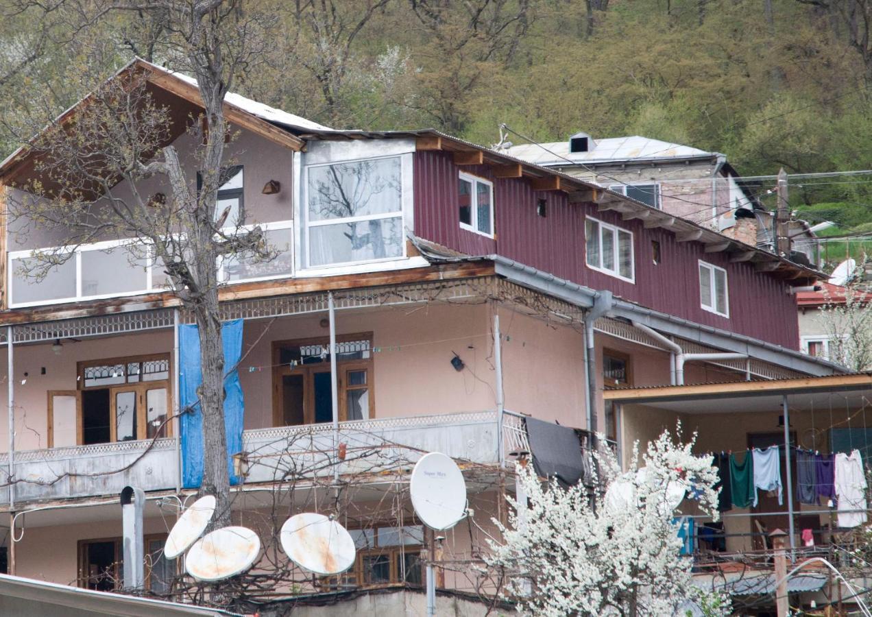 Rachvela'S Guest House Borjomi Exterior photo